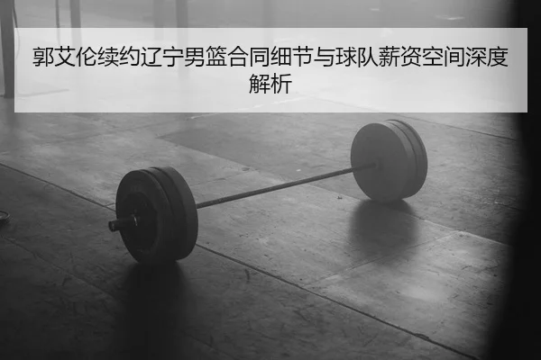 郭艾伦续约辽宁男篮合同细节与球队薪资空间深度解析