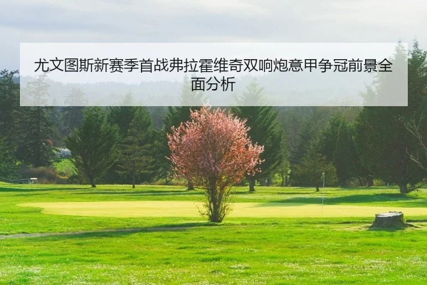 you-wen-tu-si-xin-sai-ji-shou-zhan-fu-la-huo-wei-qi-shuang-xiang-pao-yi-jia-zheng-guan-qian-jing-quan-mian-fen-xi-2-684.jpg